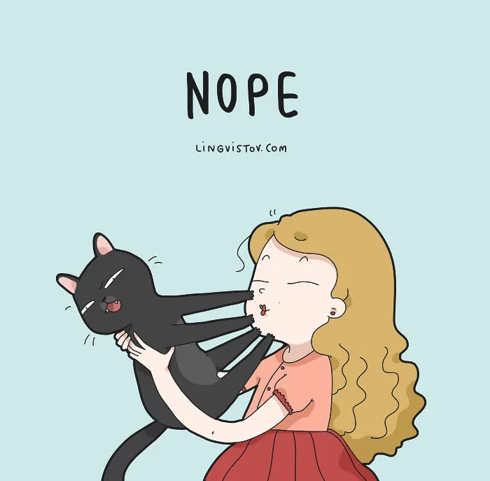 The Reality Of Having A Cat That I Captured In 29 Illustrations (New Pics)