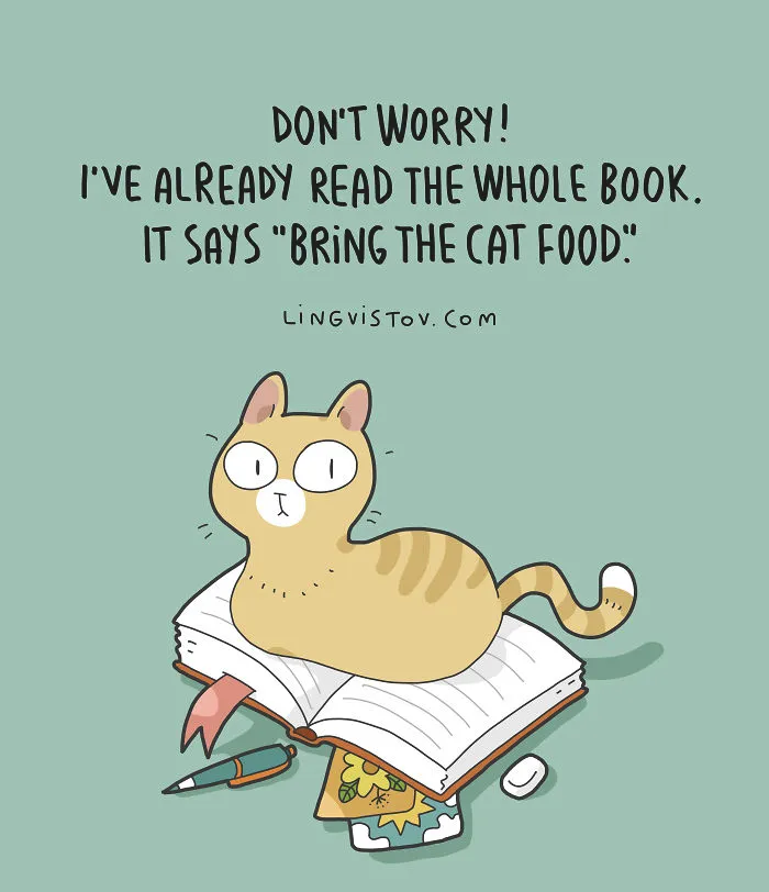 The Reality Of Having A Cat That I Captured In 29 Illustrations (New Pics)