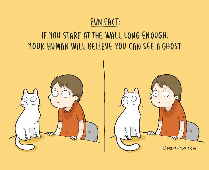 The Reality Of Having A Cat That I Captured In 29 Illustrations (New Pics)