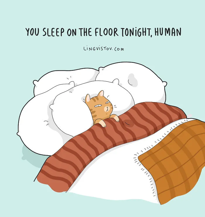 The Reality Of Having A Cat That I Captured In 29 Illustrations (New Pics)