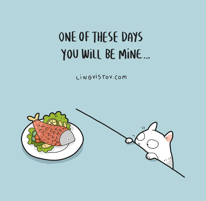 The Reality Of Having A Cat That I Captured In 29 Illustrations (New Pics)