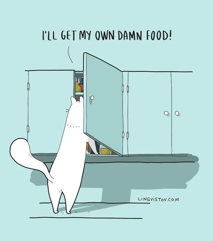 The Reality Of Having A Cat That I Captured In 29 Illustrations (New Pics)