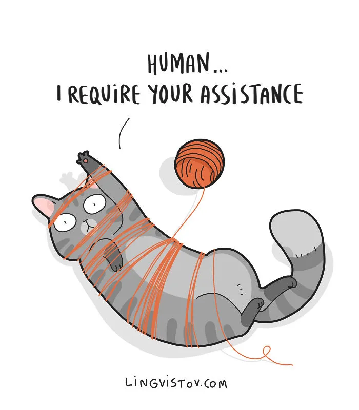 The Reality Of Having A Cat That I Captured In 29 Illustrations (New Pics)