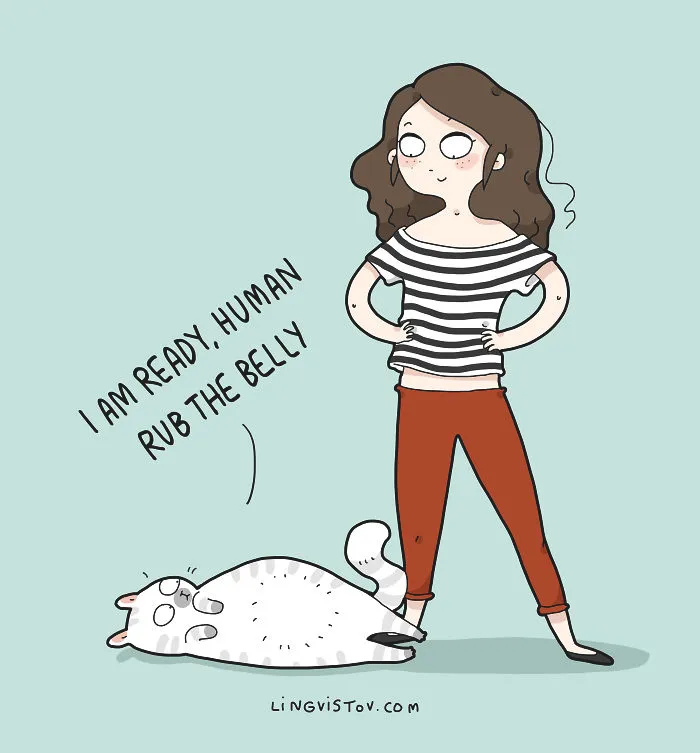 The Reality Of Having A Cat That I Captured In 29 Illustrations (New Pics)