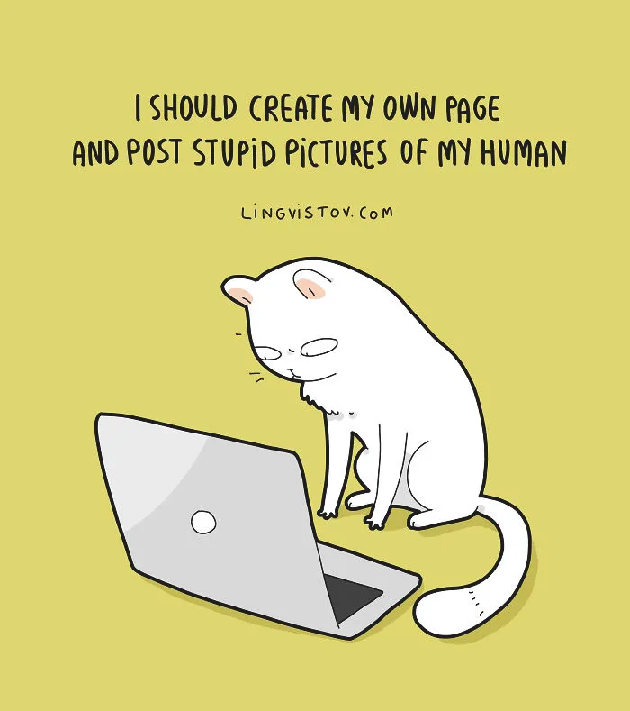 The Reality Of Having A Cat That I Captured In 29 Illustrations (New Pics)