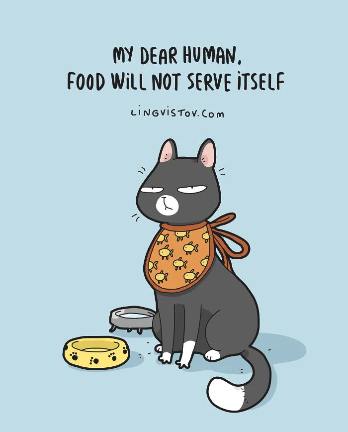 The Reality Of Having A Cat That I Captured In 29 Illustrations (New Pics)