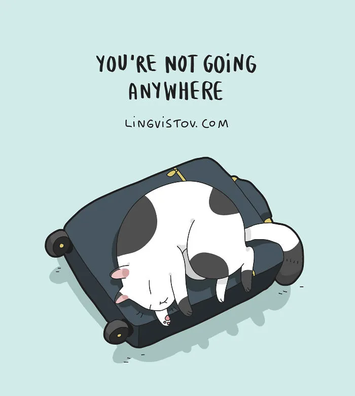 The Reality Of Having A Cat That I Captured In 29 Illustrations (New Pics)