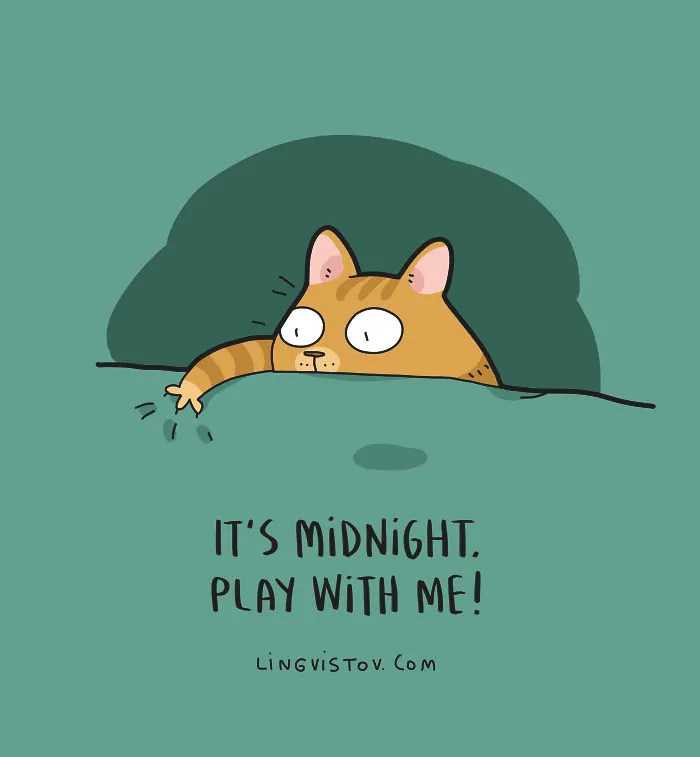 The Reality Of Having A Cat That I Captured In 29 Illustrations (New Pics)