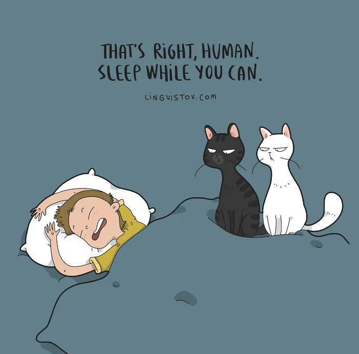 The Reality Of Having A Cat That I Captured In 29 Illustrations (New Pics)