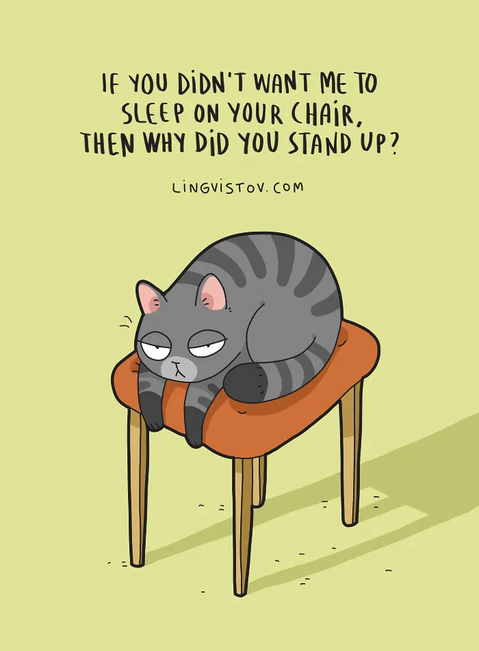 The Reality Of Having A Cat That I Captured In 29 Illustrations (New Pics)