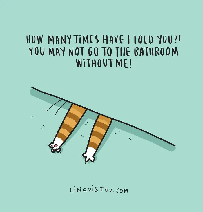 The Reality Of Having A Cat That I Captured In 29 Illustrations (New Pics)