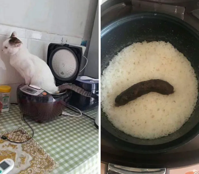 ¿Te parece que llevas un mal día?