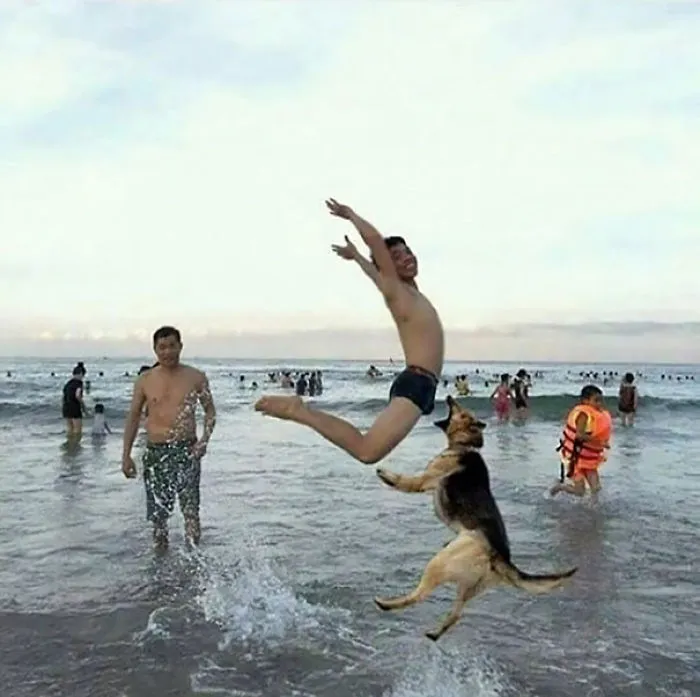 Fue una mala idea enseñarle al perro a coger salchichas al vuelo