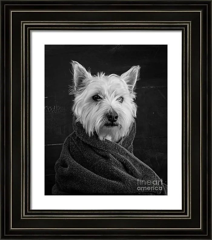 This Dog Portrait Is So Popular On Fine Art America It Has Been Viewed 53,555 Times