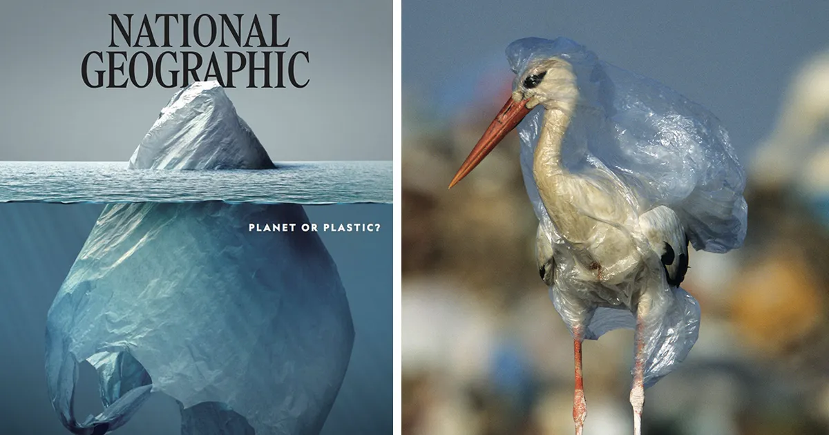 19 Fotos impactantes de National Geographic que revelan lo que el consumismo ha hecho a nuestro mundo