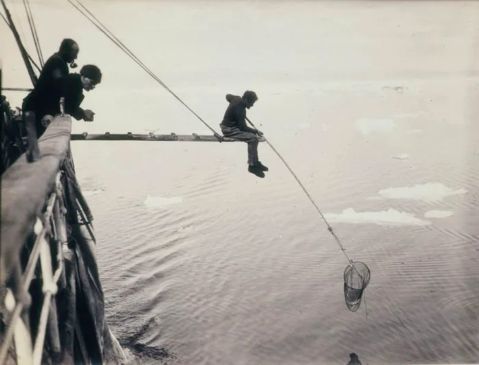 State Library Of New South Wales Follow Hamilton Hand-Netting For Macro-Plankton From Aurora