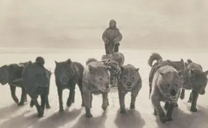 Rare Photos Of First Australasian Antarctic Expedition Taken 100 Years Ago Will Make You Shiver