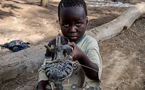 Kids At Every Income Level Were Asked To Show Their Favorite Toys, And The Result Will Make You Think