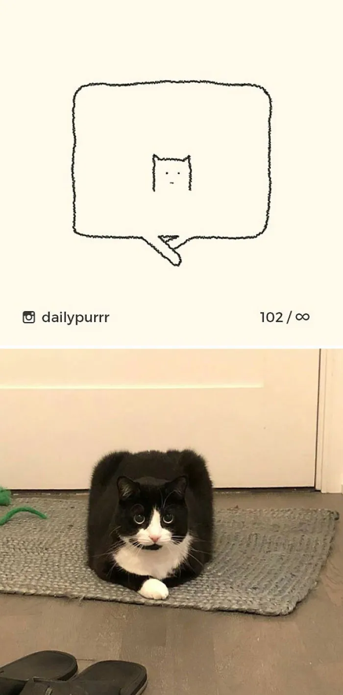 85 Times ‘Stupid Cat Drawings’ Made Everyone Laugh With How Accurate They Were