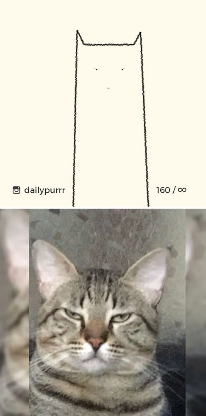 85 Times ‘Stupid Cat Drawings’ Made Everyone Laugh With How Accurate They Were