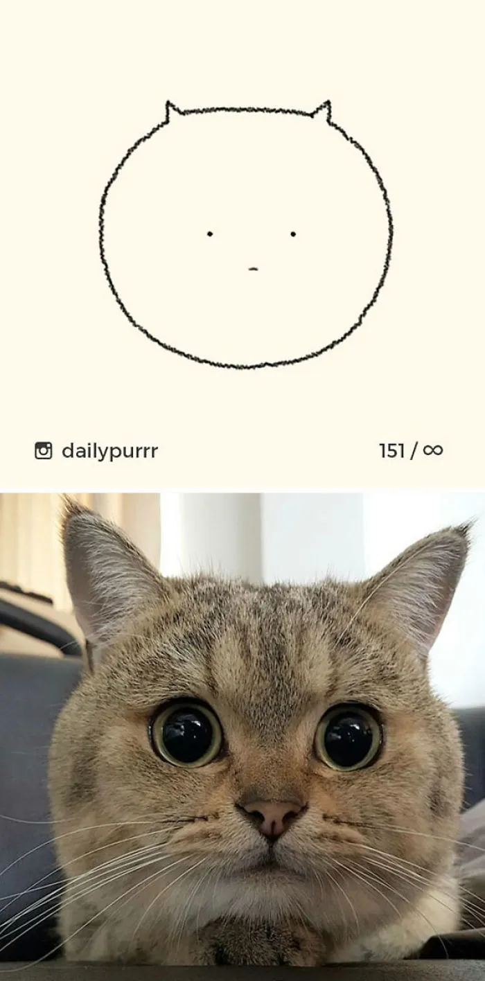 85 Times ‘Stupid Cat Drawings’ Made Everyone Laugh With How Accurate They Were