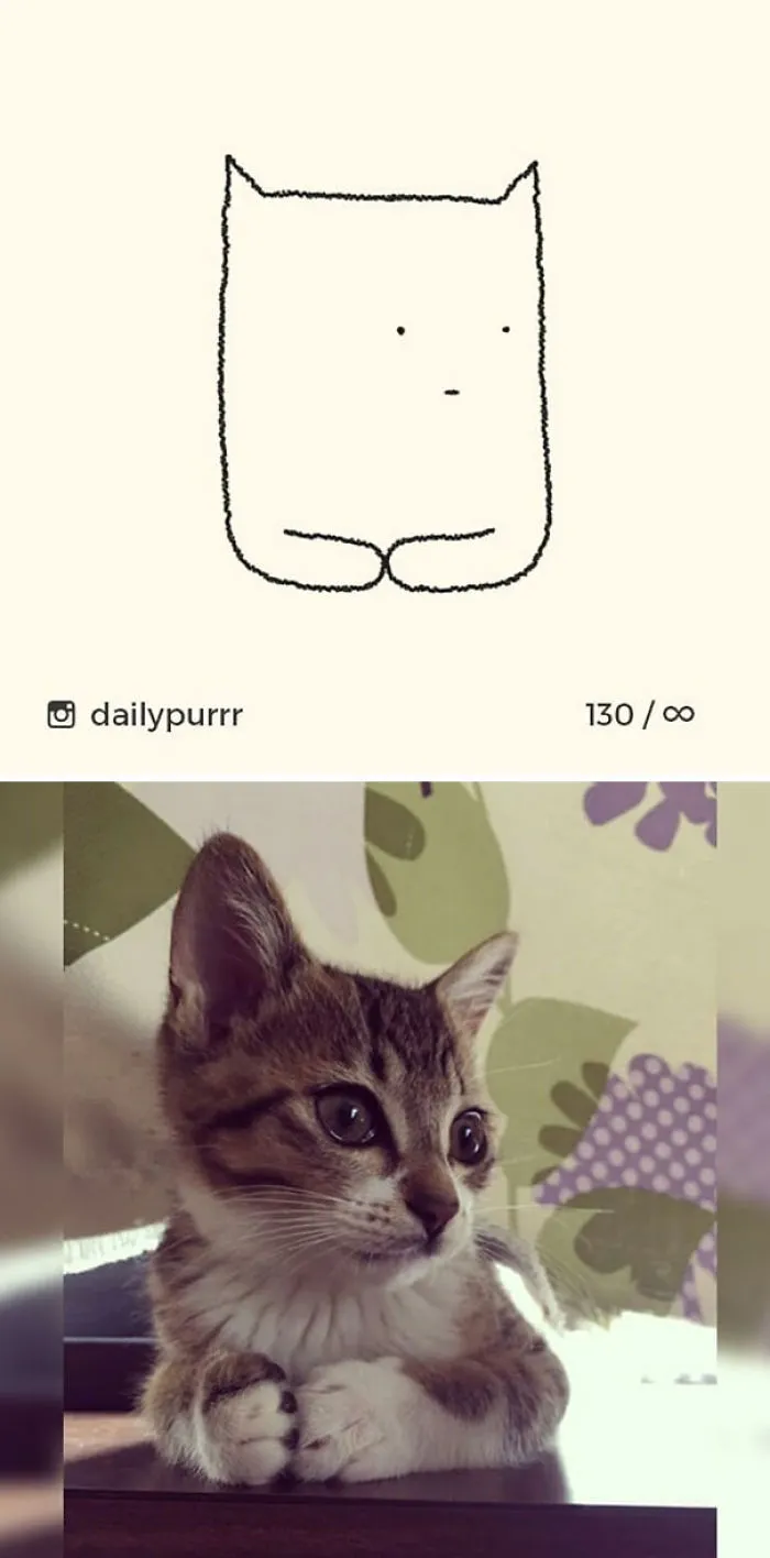 85 Times ‘Stupid Cat Drawings’ Made Everyone Laugh With How Accurate They Were
