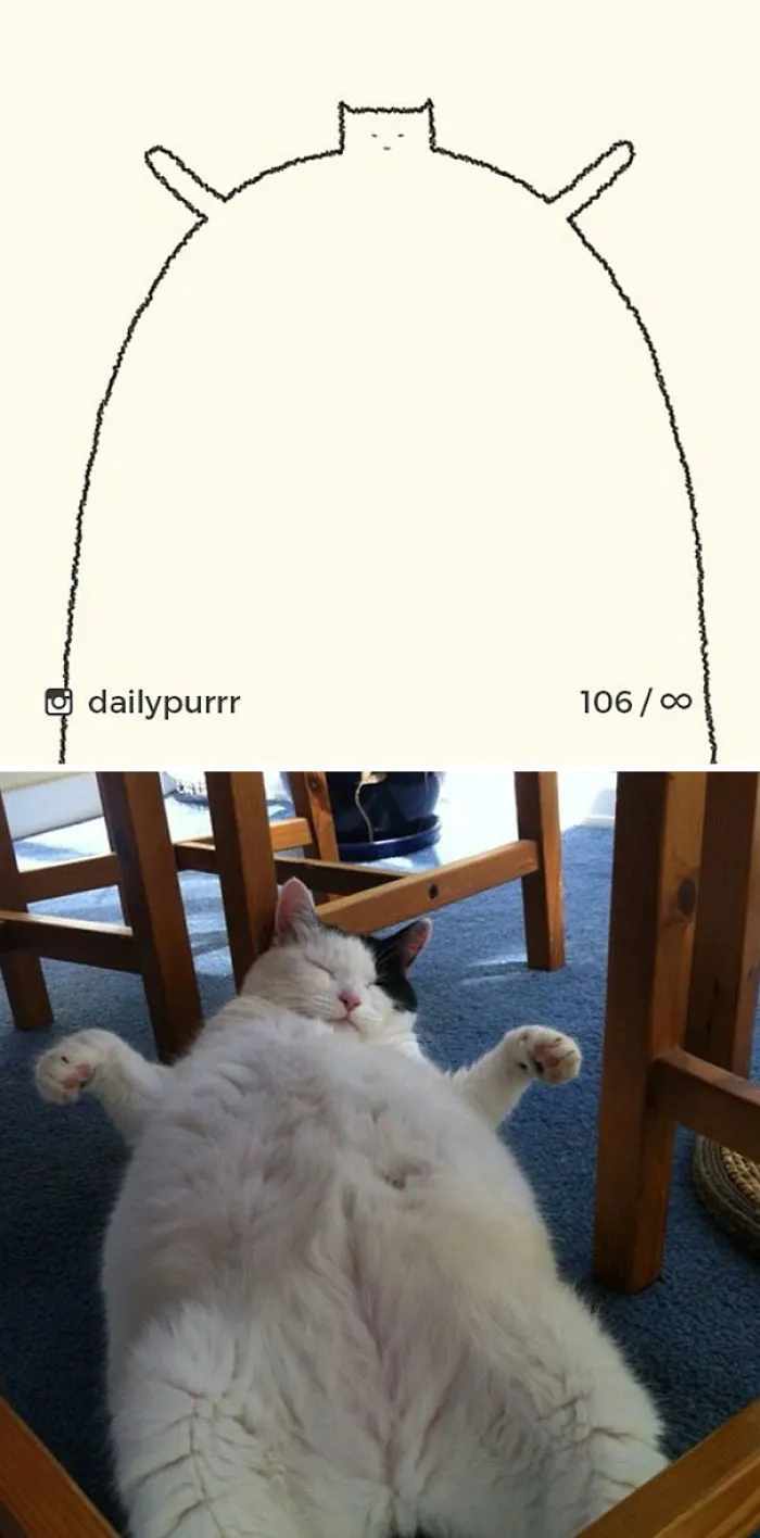 85 Times ‘Stupid Cat Drawings’ Made Everyone Laugh With How Accurate They Were