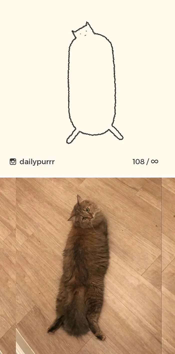 85 Times ‘Stupid Cat Drawings’ Made Everyone Laugh With How Accurate They Were