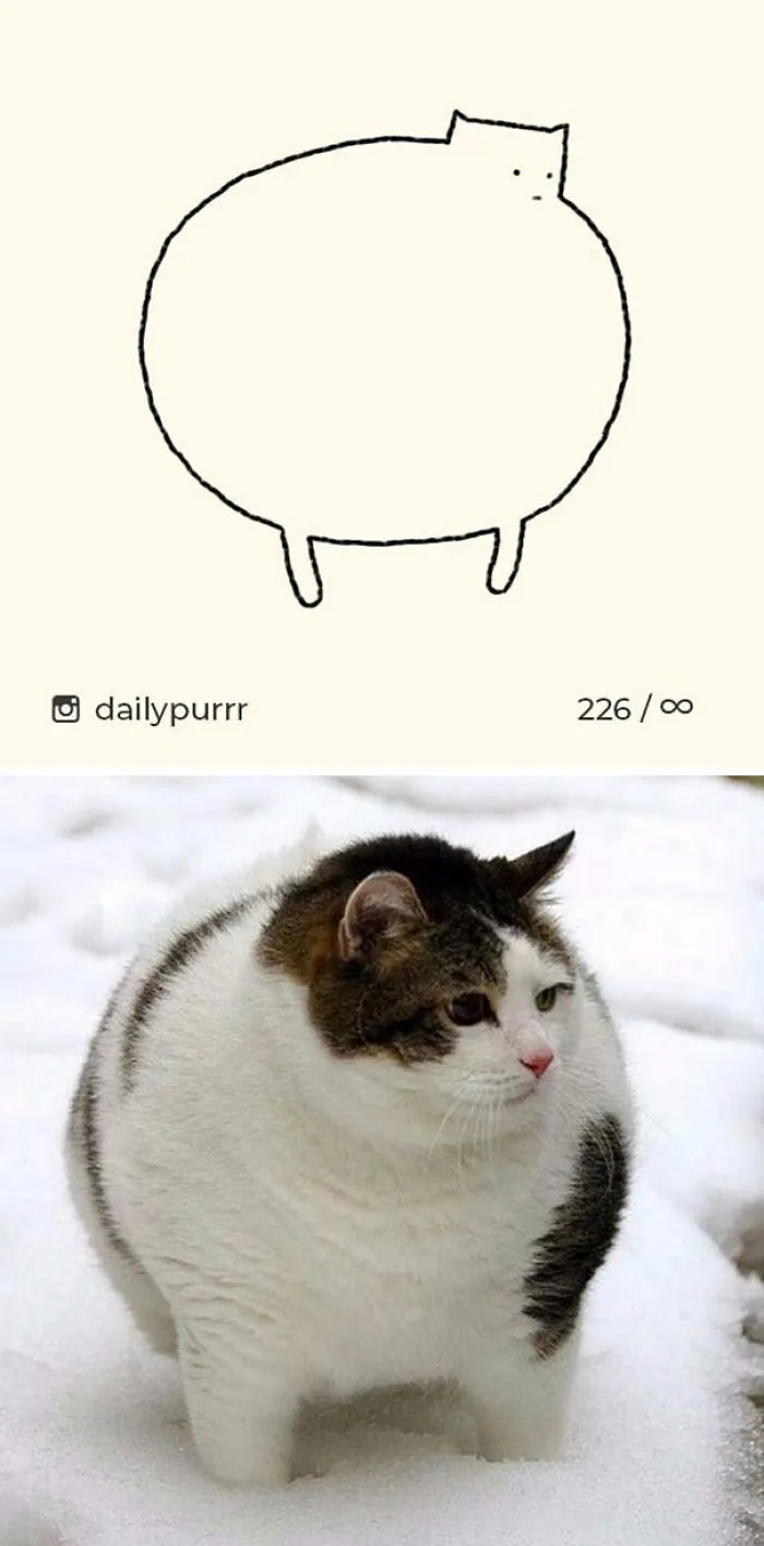 85 Times ‘Stupid Cat Drawings’ Made Everyone Laugh With How Accurate They Were