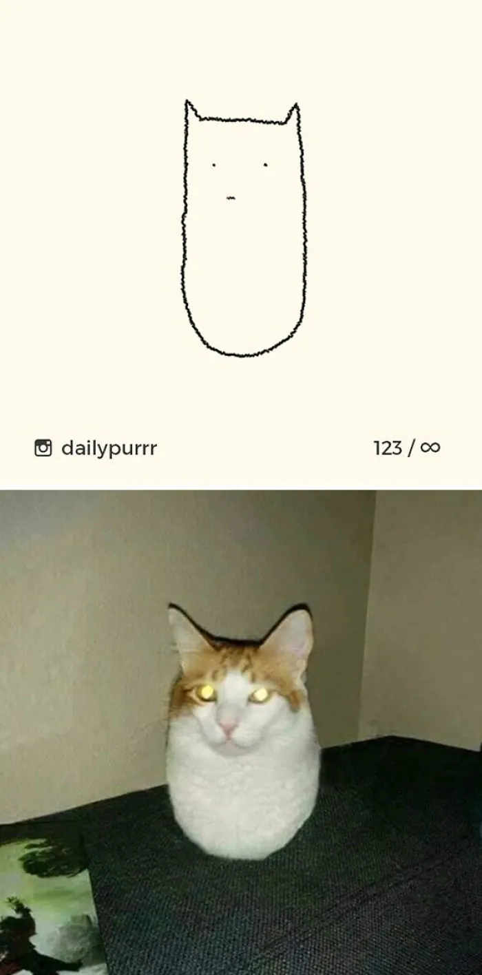 85 Times ‘Stupid Cat Drawings’ Made Everyone Laugh With How Accurate They Were