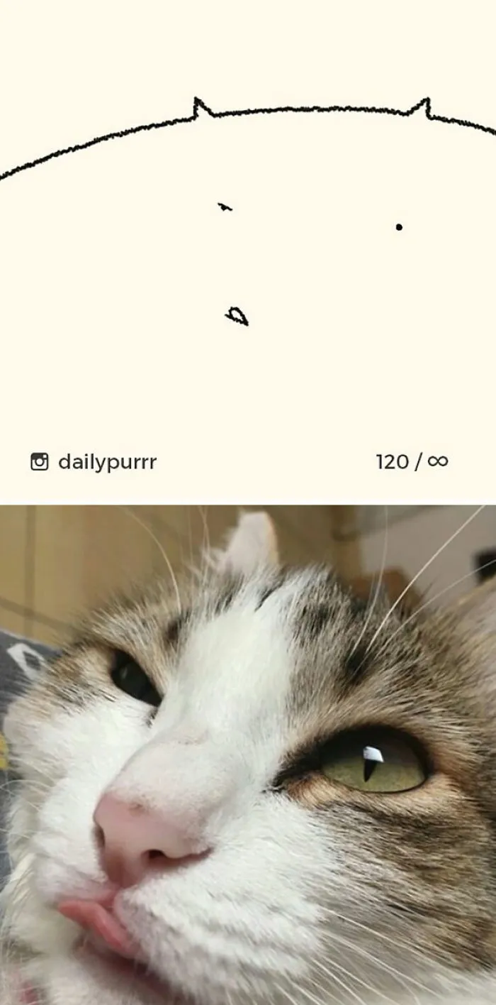 85 Times ‘Stupid Cat Drawings’ Made Everyone Laugh With How Accurate They Were