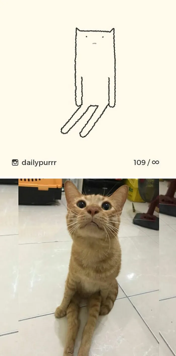 85 Times ‘Stupid Cat Drawings’ Made Everyone Laugh With How Accurate They Were