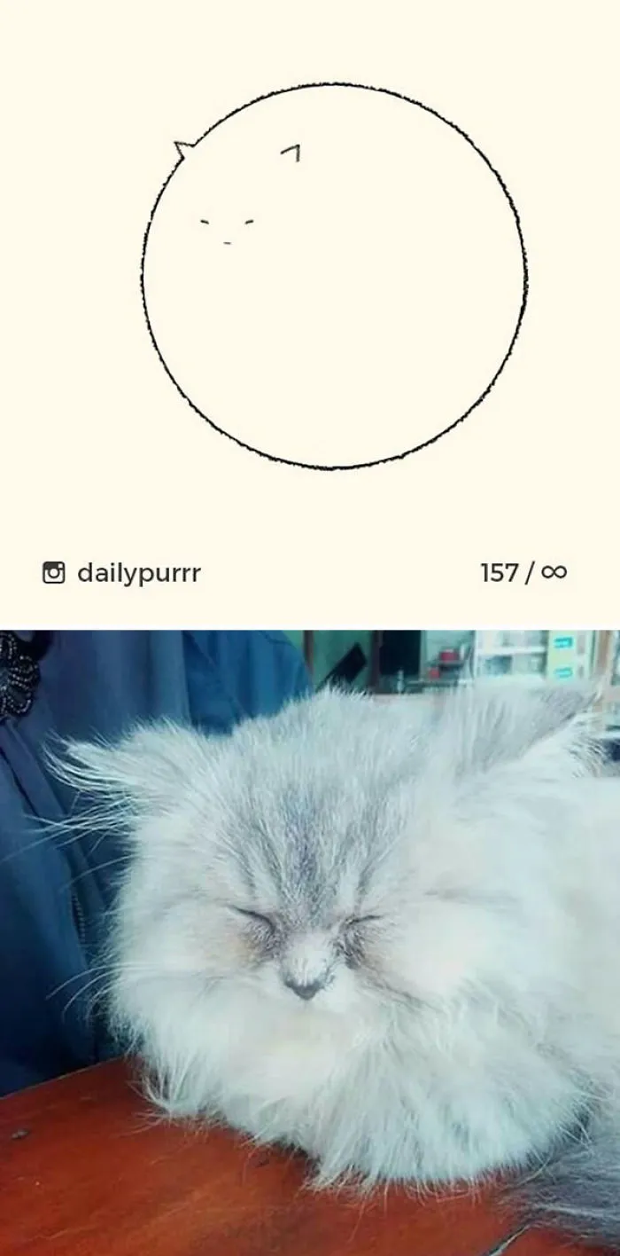 85 Times ‘Stupid Cat Drawings’ Made Everyone Laugh With How Accurate They Were