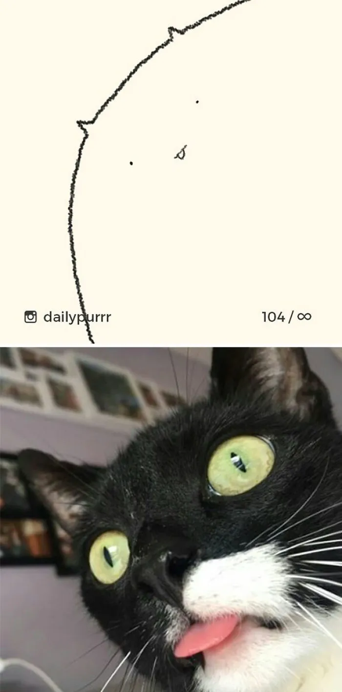 85 Times ‘Stupid Cat Drawings’ Made Everyone Laugh With How Accurate They Were