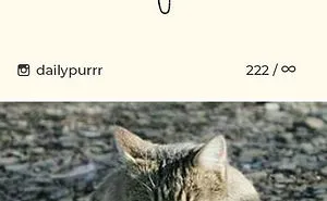 85 Times ‘Stupid Cat Drawings’ Made Everyone Laugh With How Accurate They Were