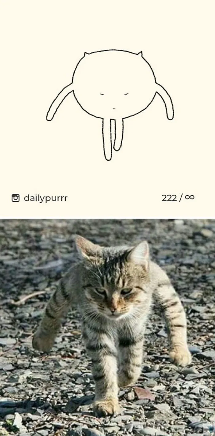 85 Times ‘Stupid Cat Drawings’ Made Everyone Laugh With How Accurate They Were