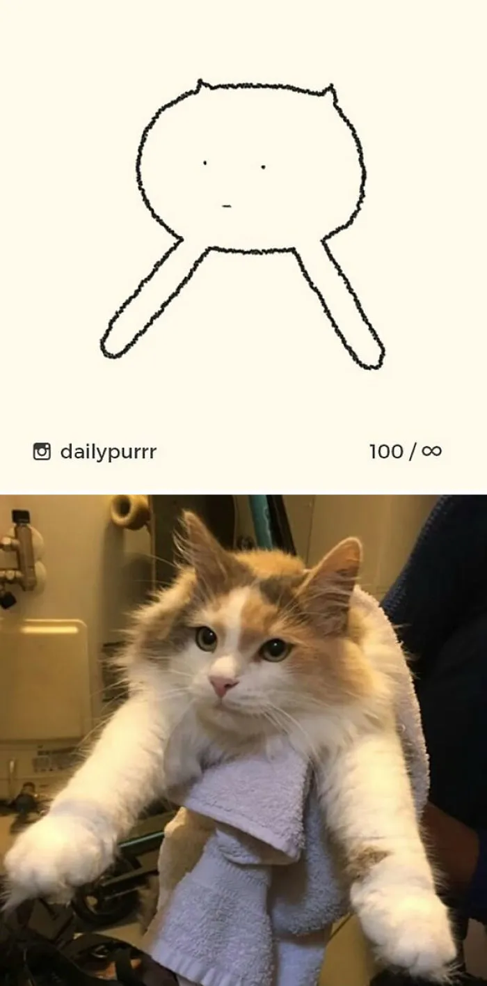85 Times ‘Stupid Cat Drawings’ Made Everyone Laugh With How Accurate They Were
