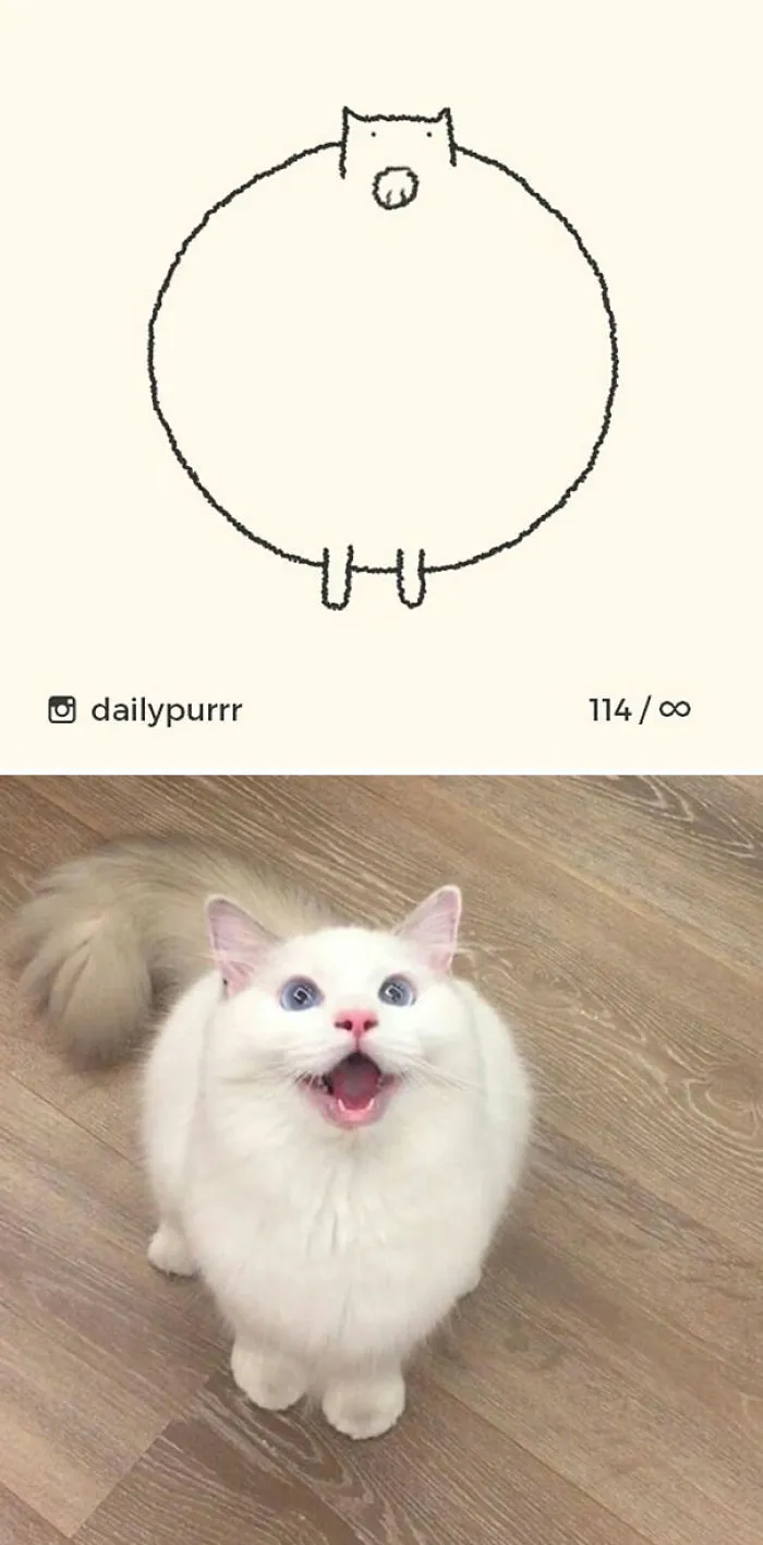 85 Times ‘Stupid Cat Drawings’ Made Everyone Laugh With How Accurate They Were