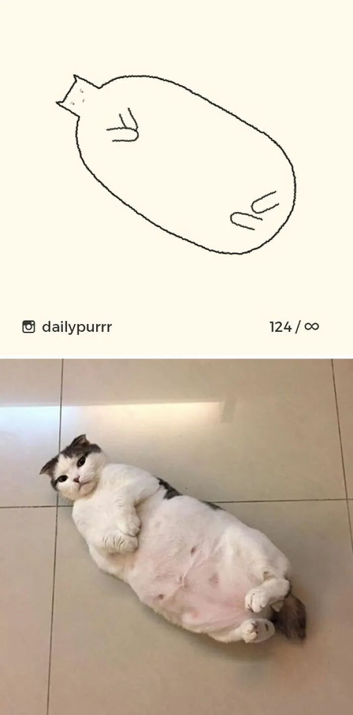 85 Times ‘Stupid Cat Drawings’ Made Everyone Laugh With How Accurate They Were