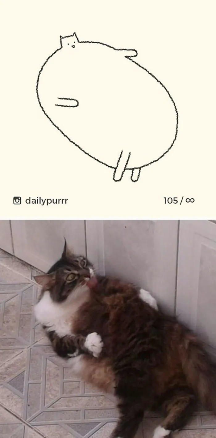 85 Times ‘Stupid Cat Drawings’ Made Everyone Laugh With How Accurate They Were