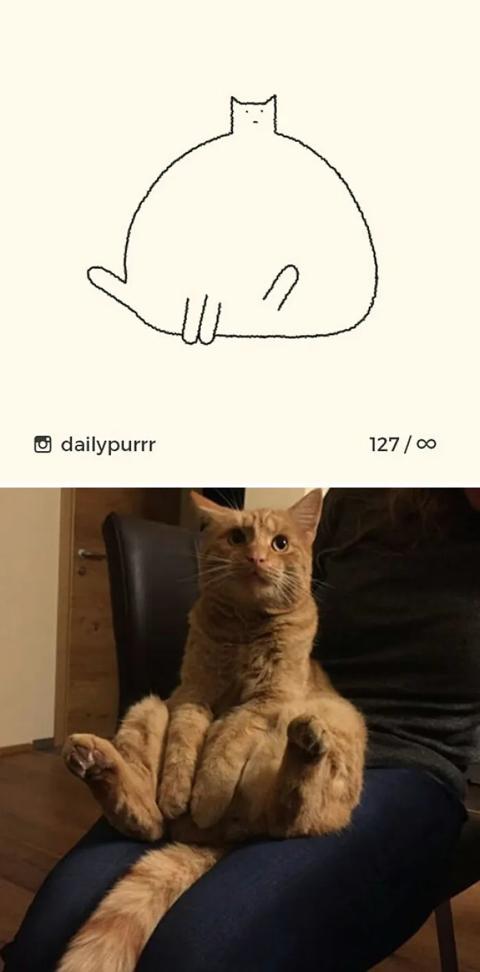85 Times ‘Stupid Cat Drawings’ Made Everyone Laugh With How Accurate They Were