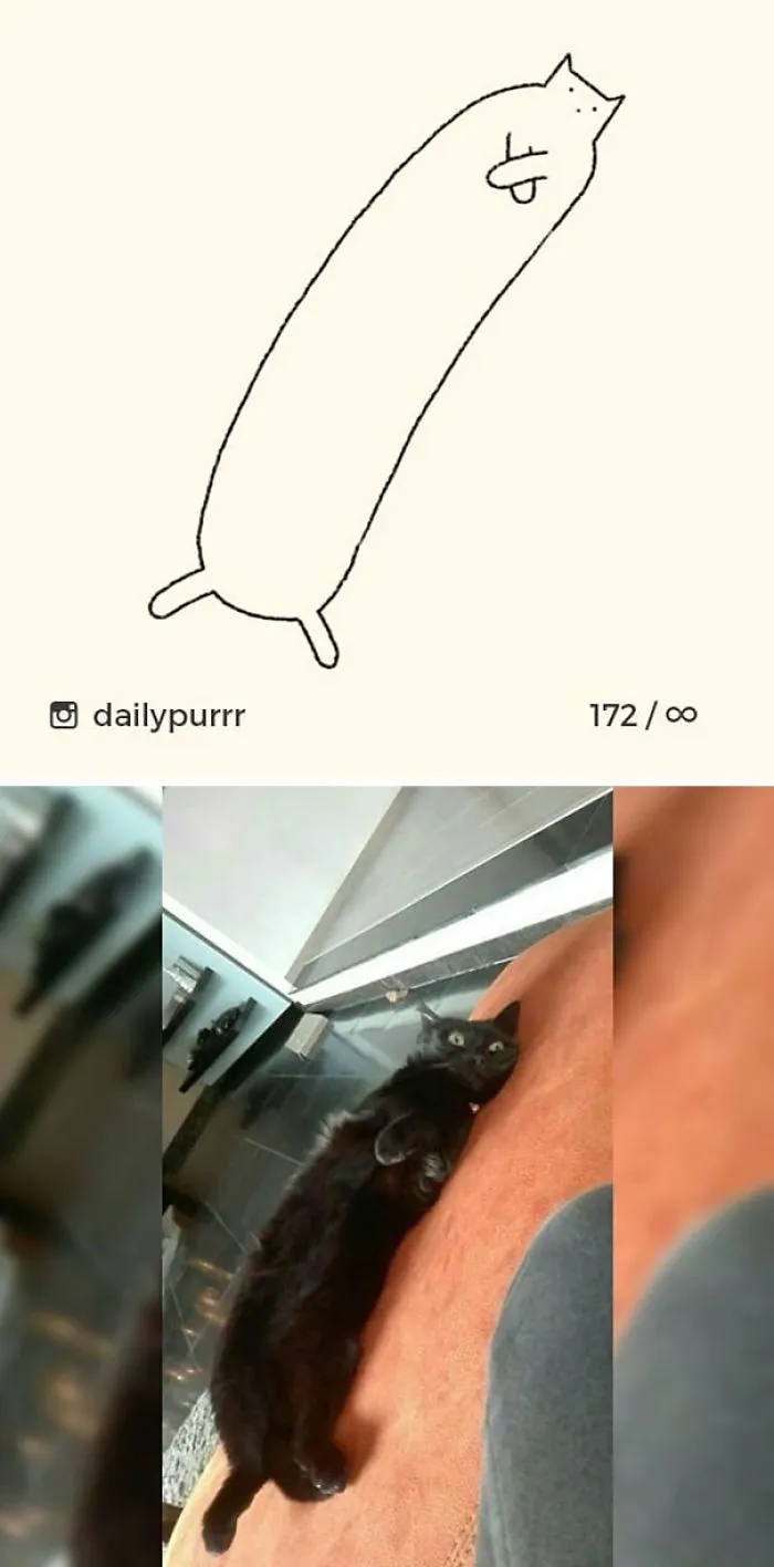 85 Times ‘Stupid Cat Drawings’ Made Everyone Laugh With How Accurate They Were