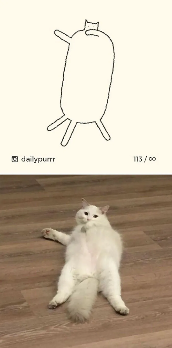 85 Times ‘Stupid Cat Drawings’ Made Everyone Laugh With How Accurate They Were