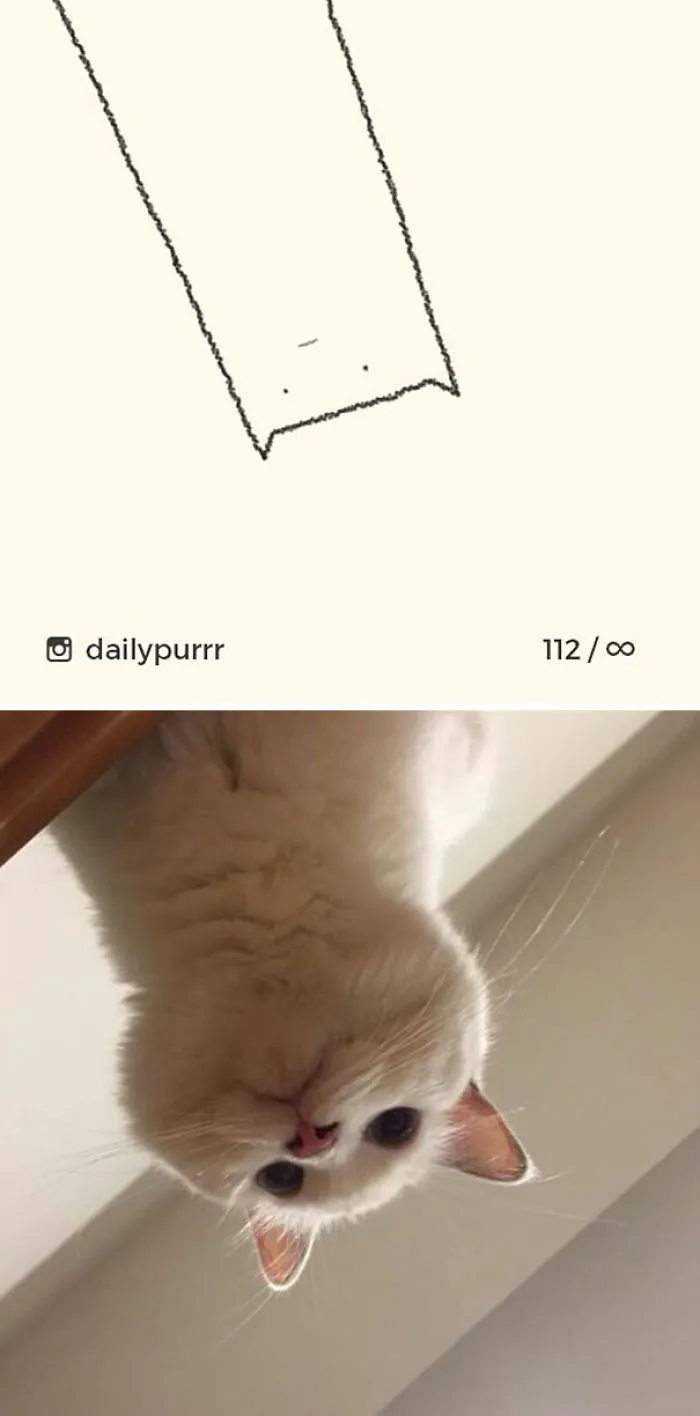 85 Times ‘Stupid Cat Drawings’ Made Everyone Laugh With How Accurate They Were