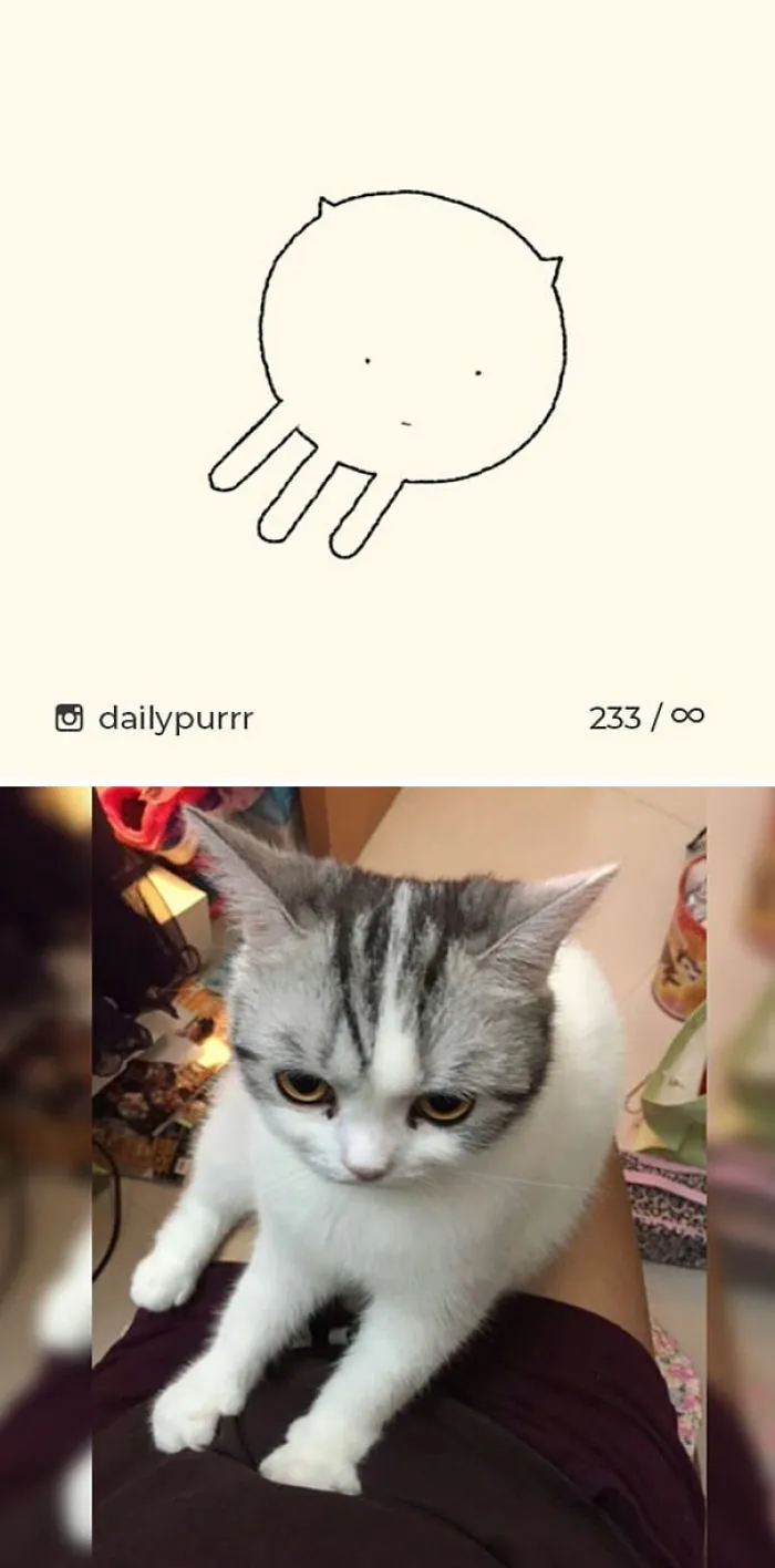 85 Times ‘Stupid Cat Drawings’ Made Everyone Laugh With How Accurate They Were