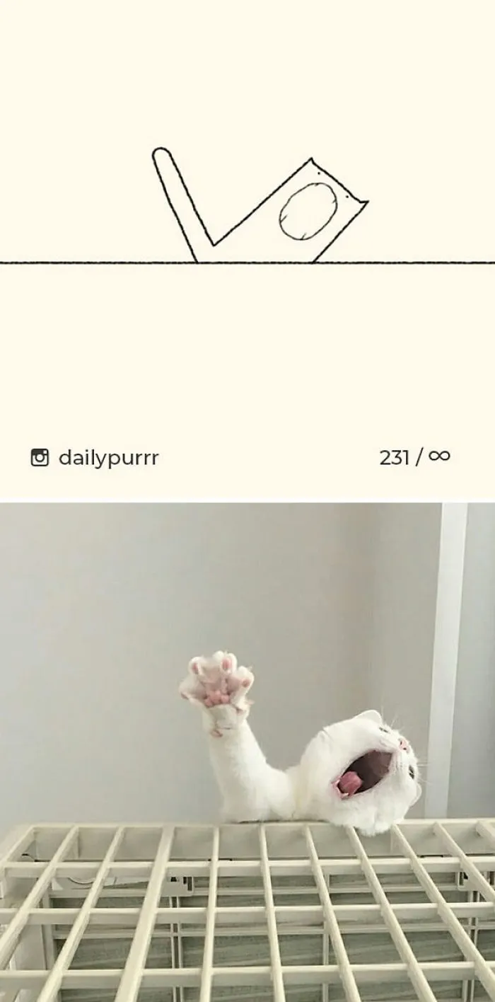 85 Times ‘Stupid Cat Drawings’ Made Everyone Laugh With How Accurate They Were