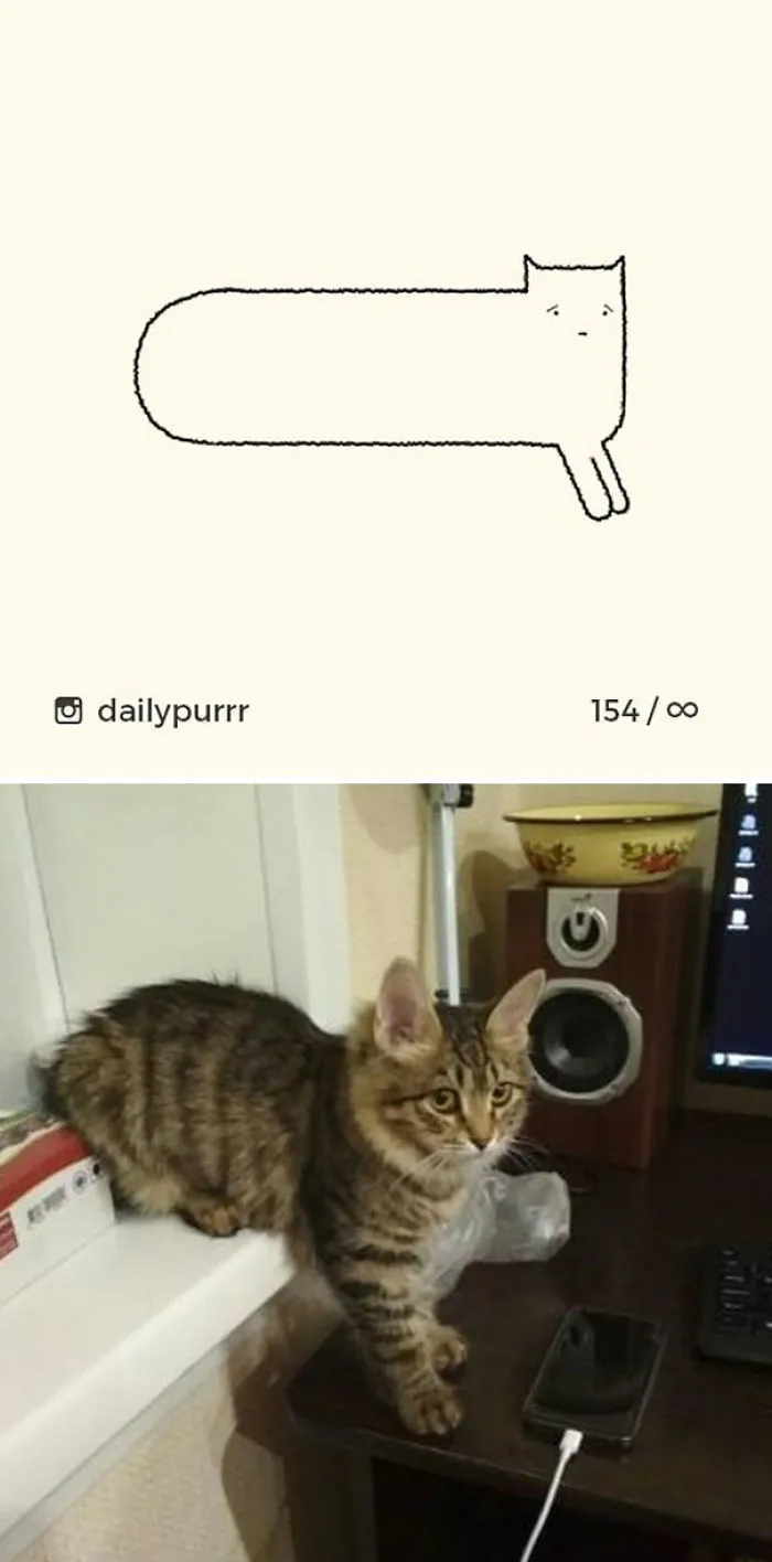 85 Times ‘Stupid Cat Drawings’ Made Everyone Laugh With How Accurate They Were