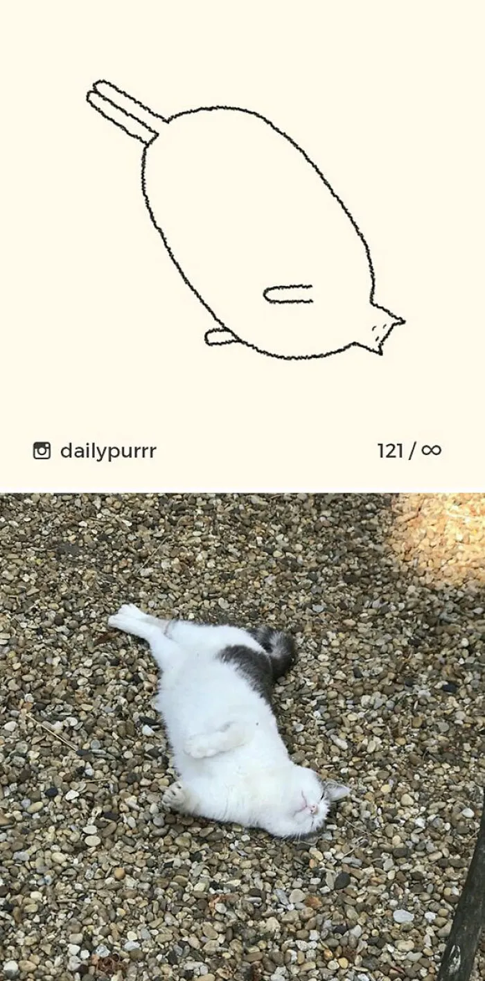 85 Times ‘Stupid Cat Drawings’ Made Everyone Laugh With How Accurate They Were