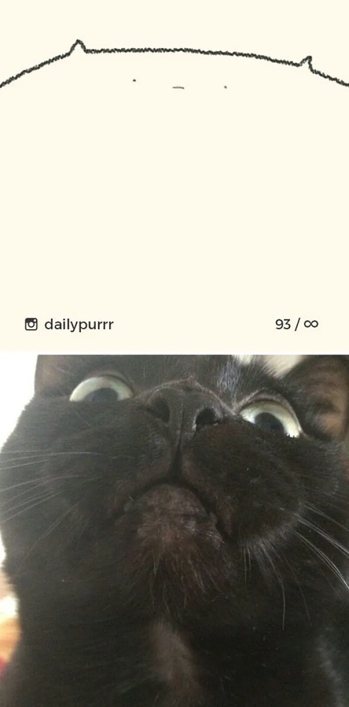 85 Times ‘Stupid Cat Drawings’ Made Everyone Laugh With How Accurate They Were