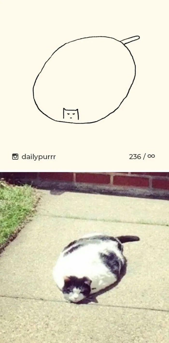 85 Times ‘Stupid Cat Drawings’ Made Everyone Laugh With How Accurate They Were
